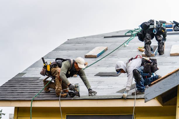 Professional Roof Installation technician working in Petaluma, CA